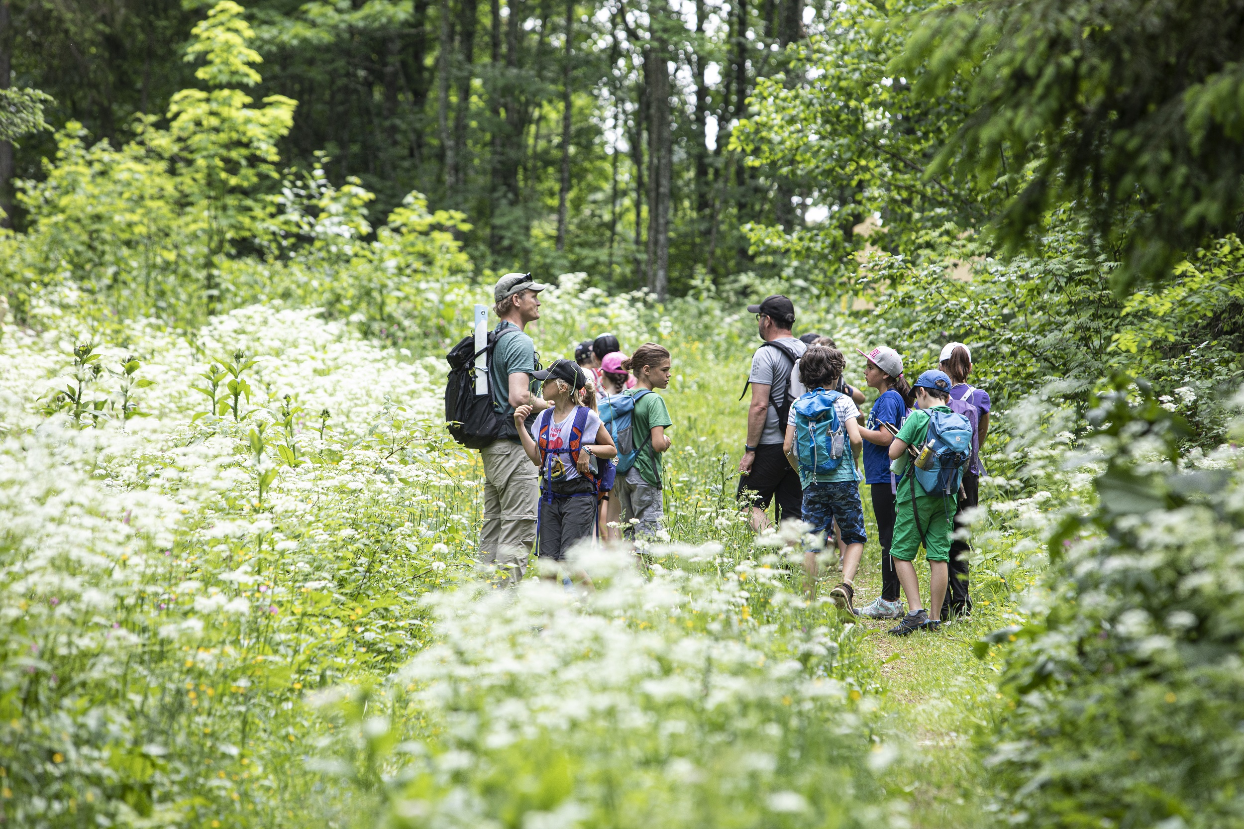 Schulreisen in die Natur