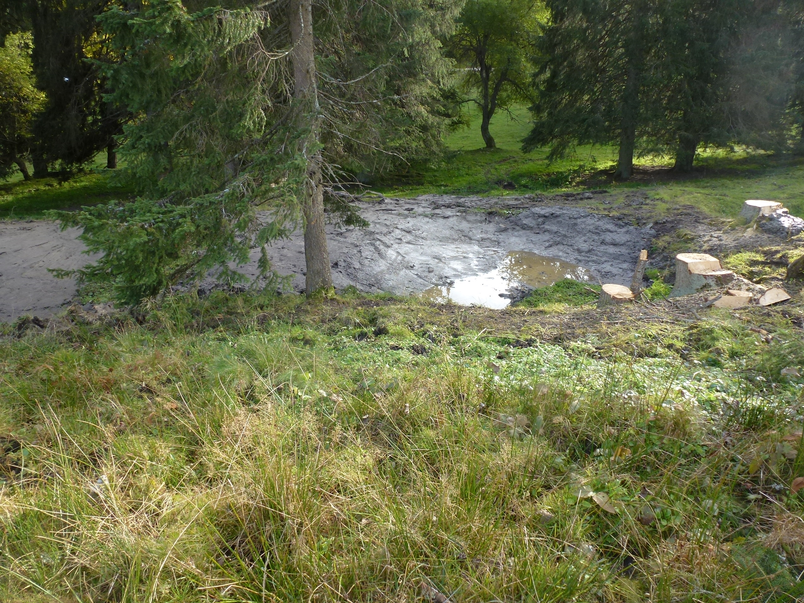 Renaturierte Tümpel auf dem Chasseralgrat