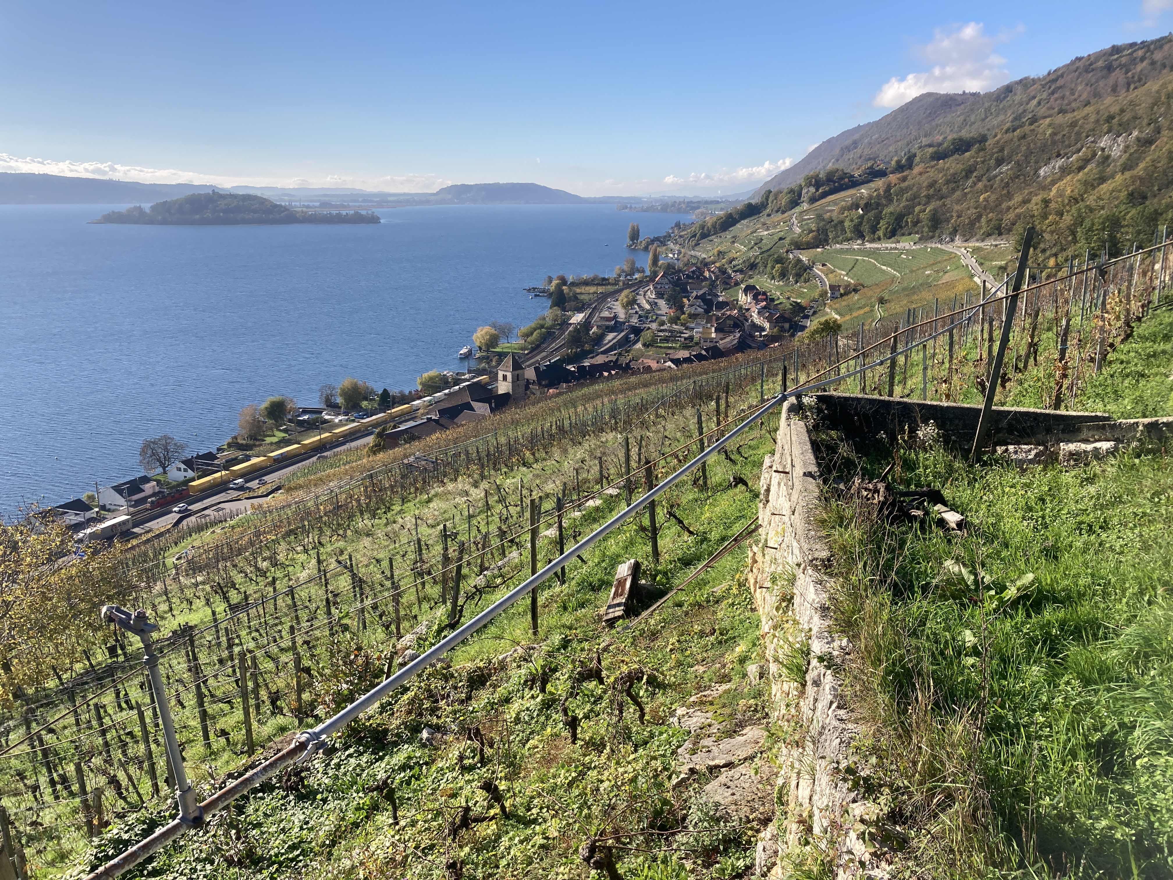 Ausflug zu Weinbergen und Trockenmauern