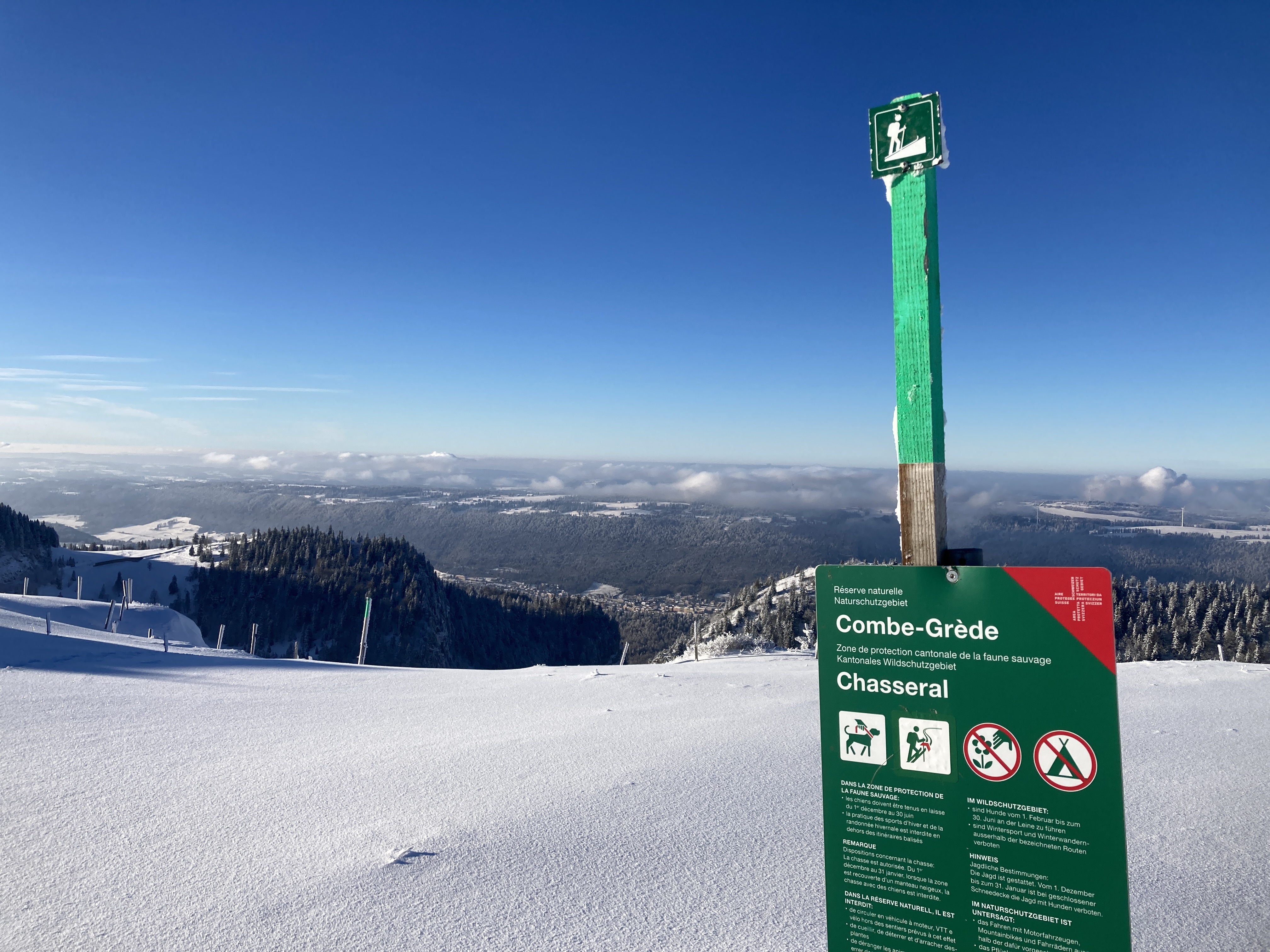 Respecter la faune en ski de randonnée