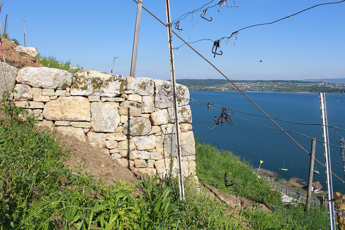 Treize murs rénovés dans le vignoble du lac de Bienne