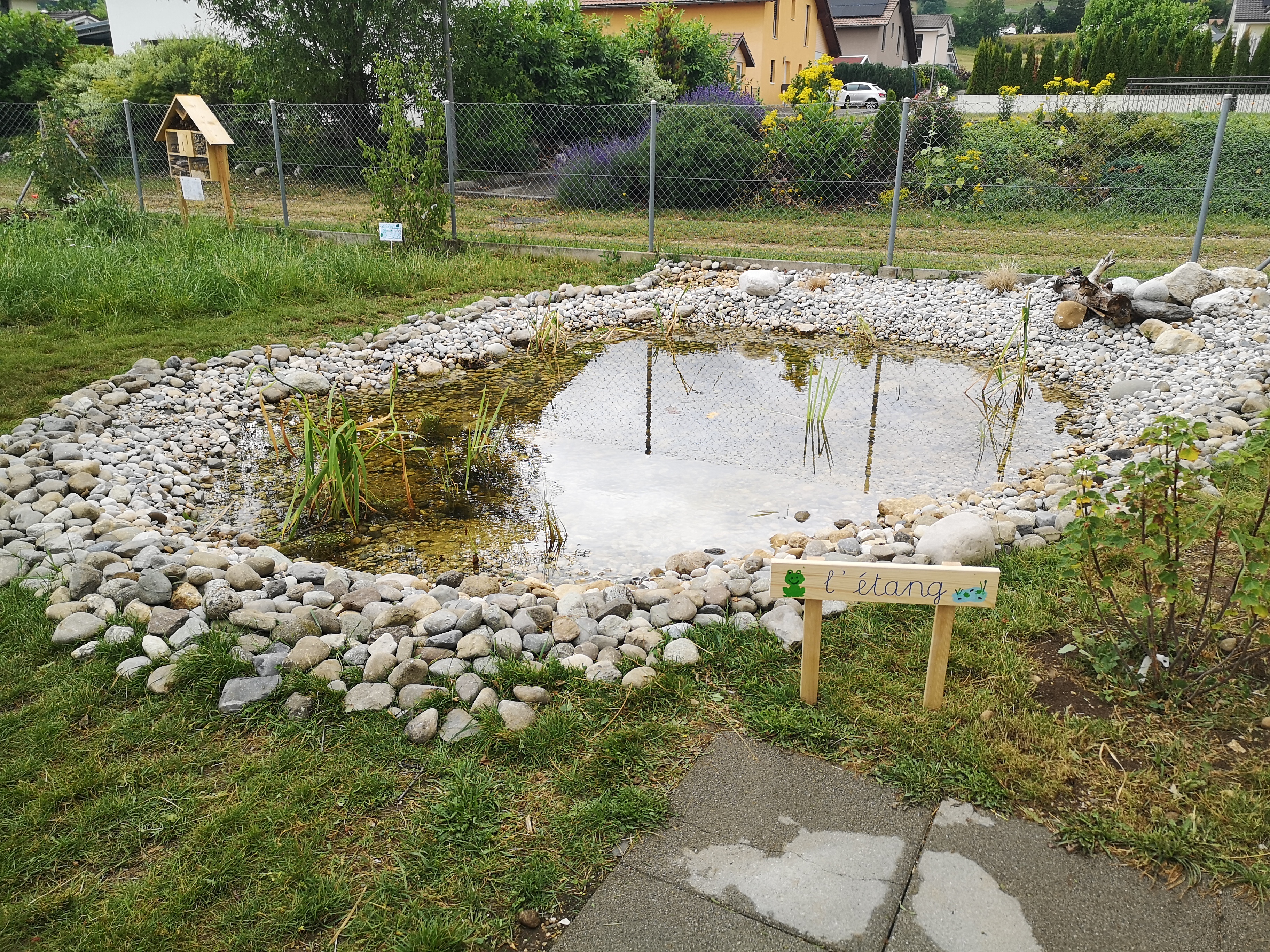 Wasserflächen im Garten für mehr Biodiversität