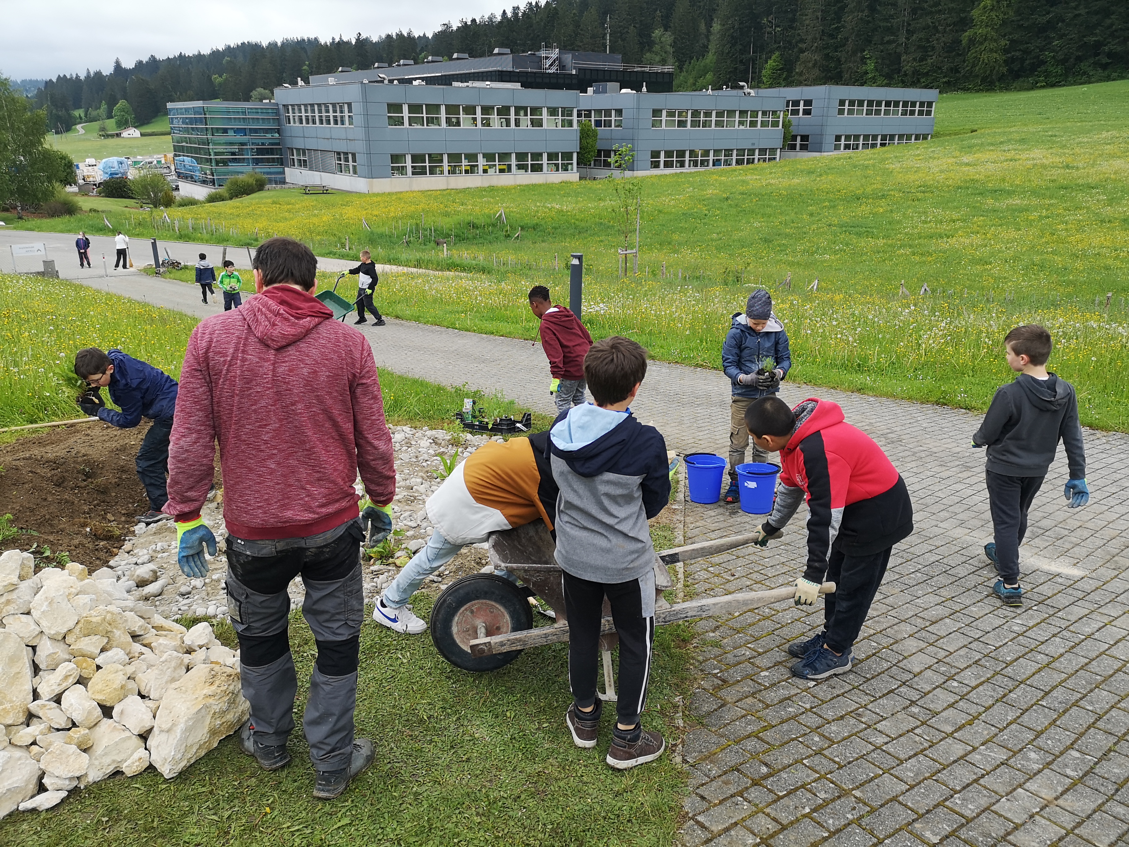 Des classes mettent la main à la pâte pour les abeilles