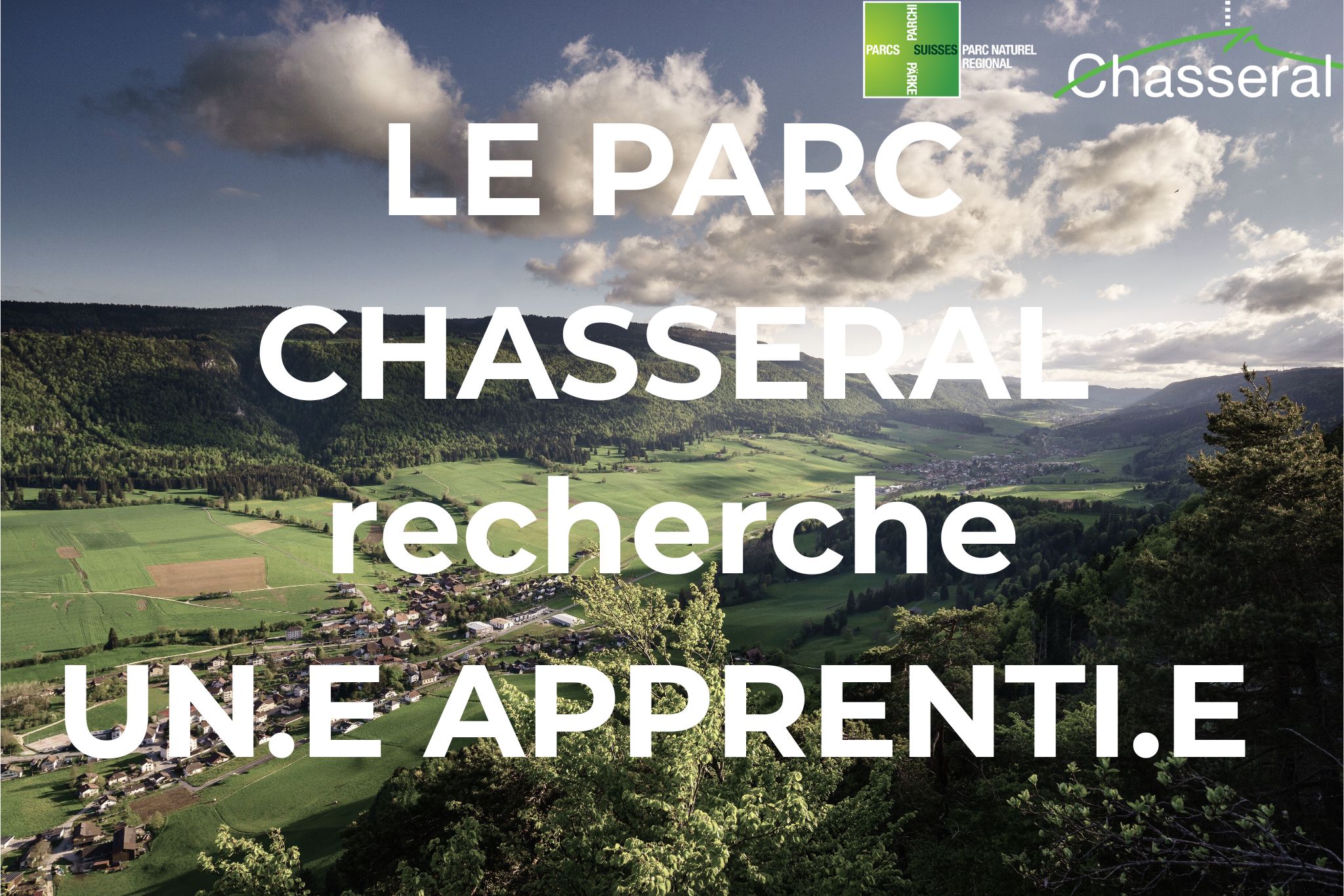 Place d’apprentissage à pourvoir