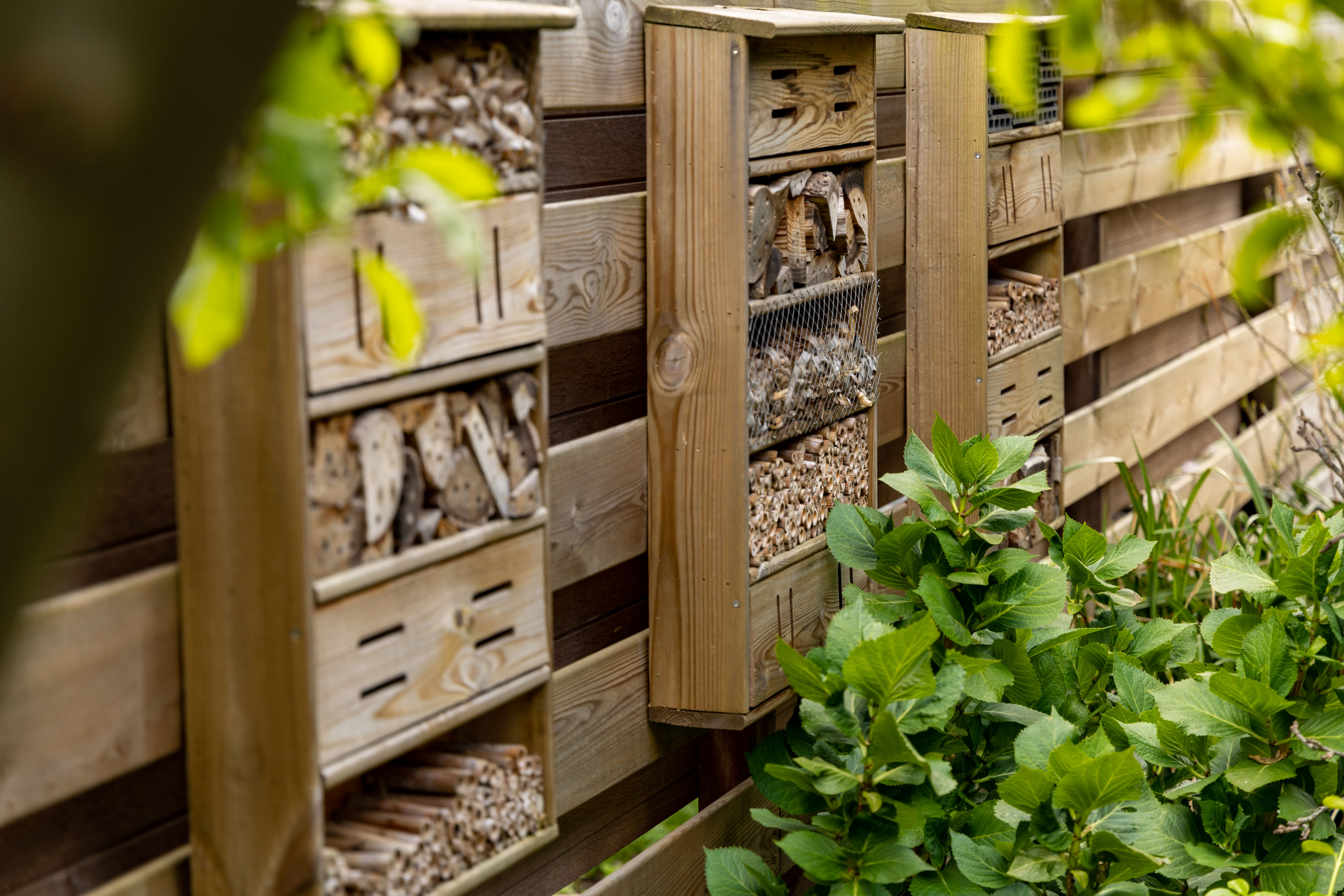 Ça bouge au jardin !