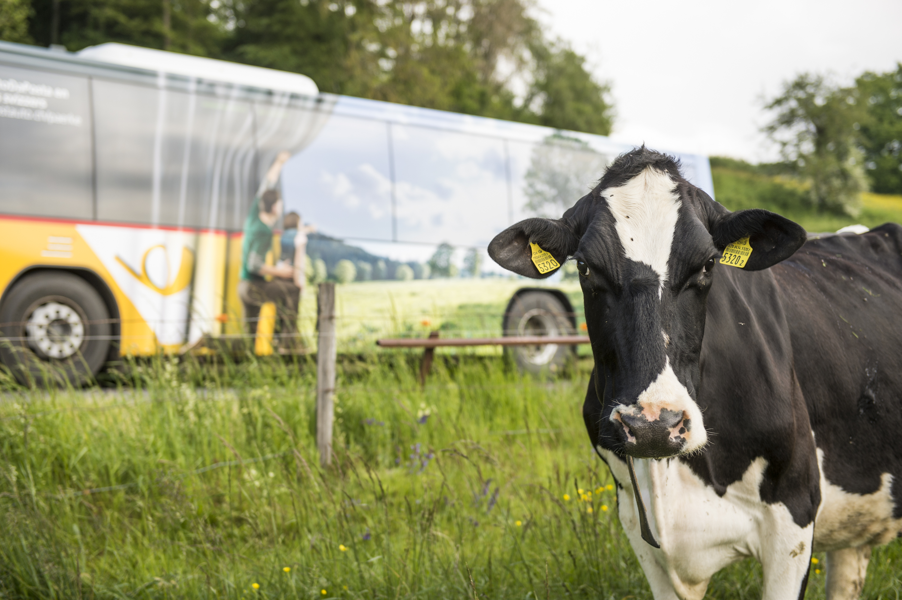 Mehr Busse zum Chasseral im Jahr 2025