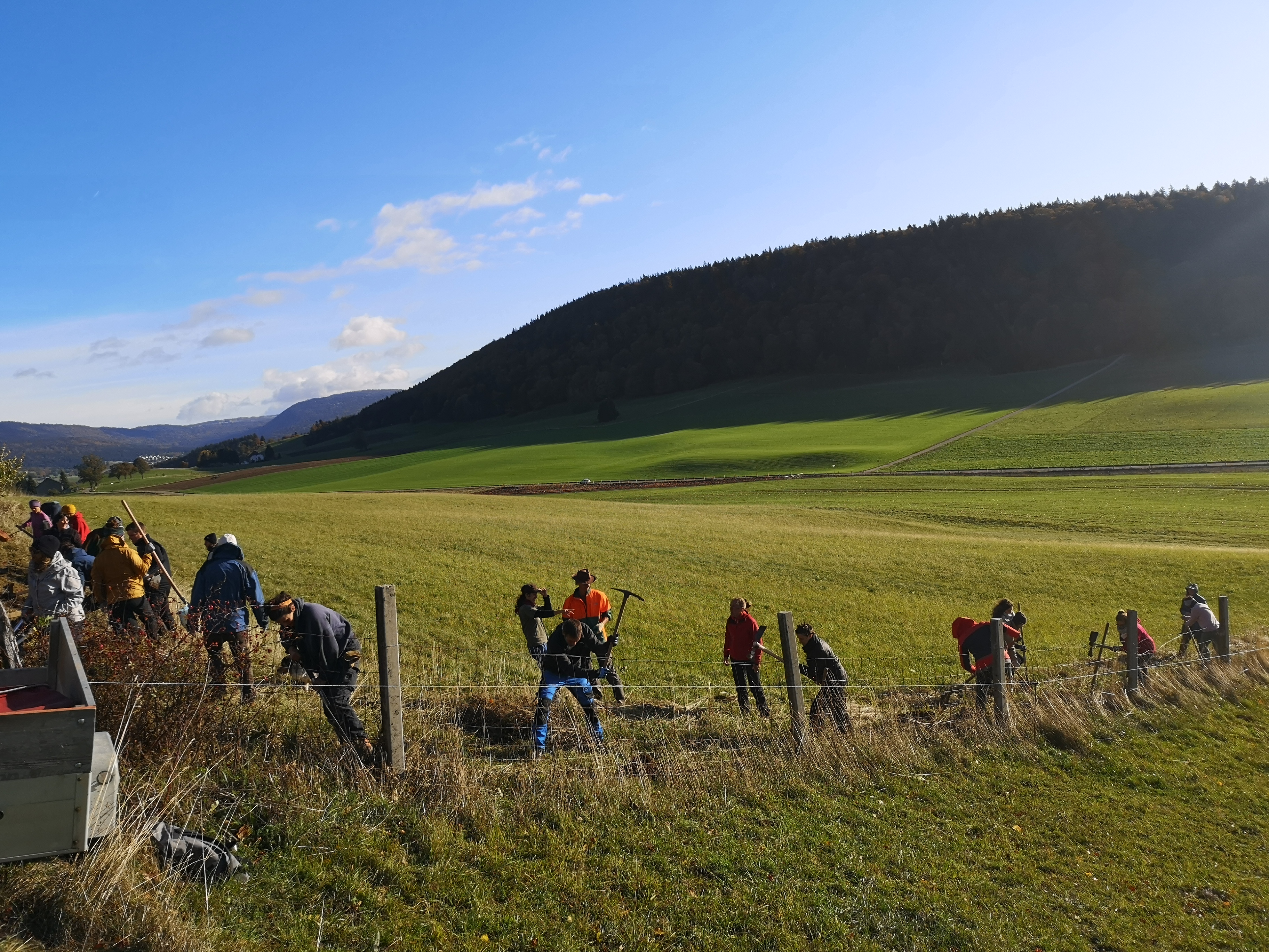 Machen Sie mit beim Heckentag am 8. November